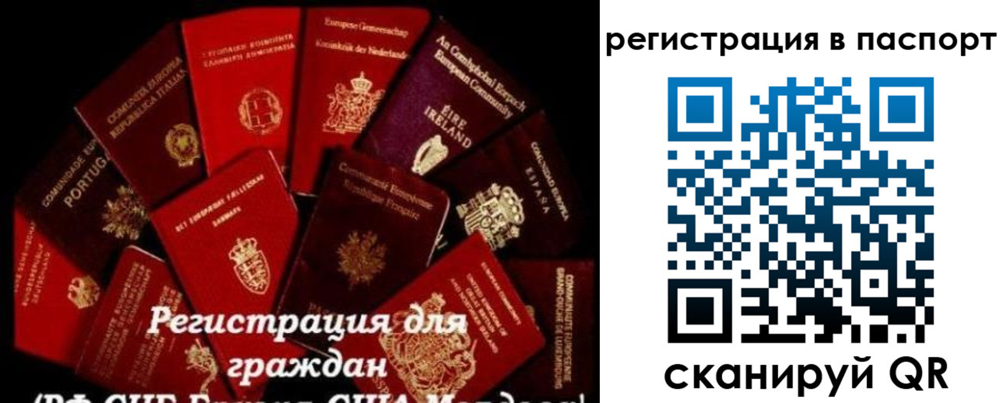 миграционный учет в Пионерском
